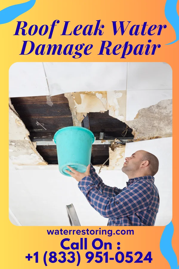 Roof Leak Water Damage Repair in Cleveland, MO